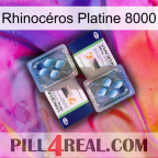 Rhinocéros Platine 8000 viagra5